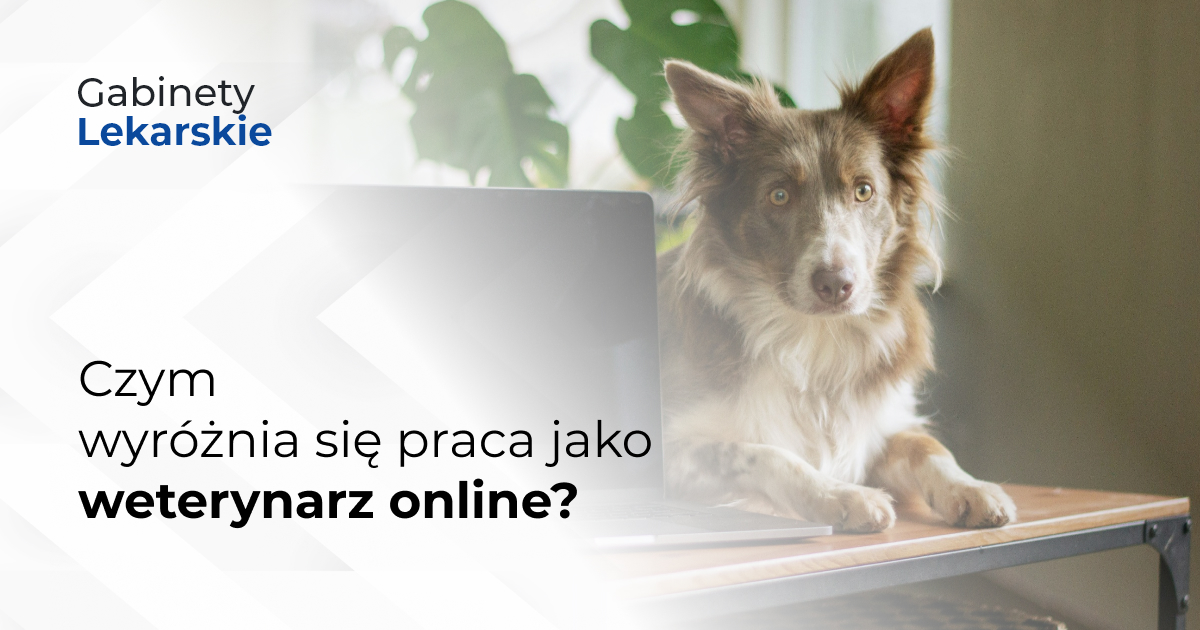 Czym wyróżnia się praca jako weterynarz online?